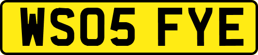 WS05FYE