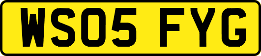 WS05FYG