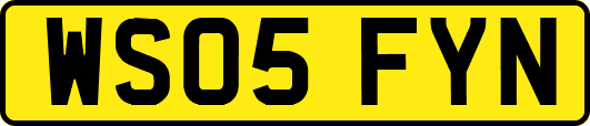 WS05FYN