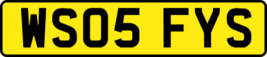 WS05FYS