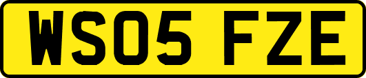 WS05FZE