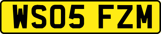 WS05FZM