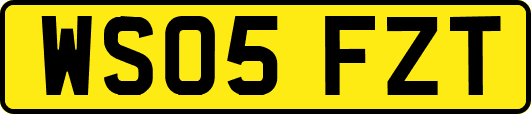 WS05FZT