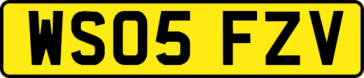 WS05FZV