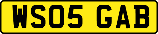 WS05GAB
