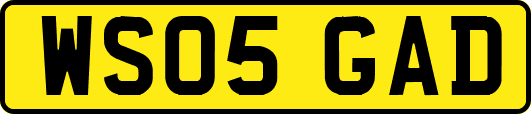 WS05GAD