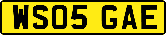 WS05GAE