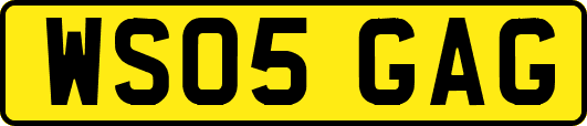 WS05GAG