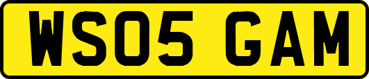 WS05GAM