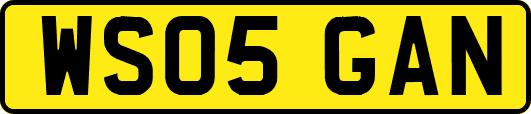 WS05GAN