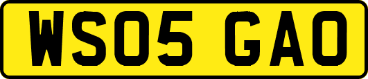 WS05GAO