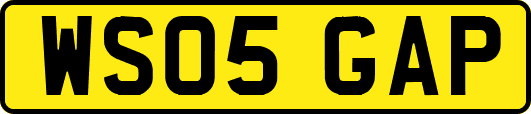 WS05GAP
