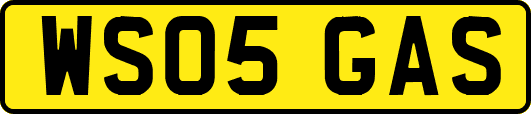WS05GAS