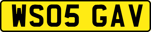 WS05GAV