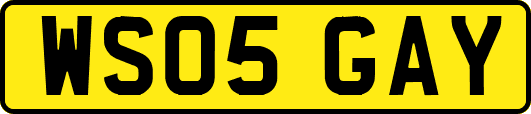 WS05GAY