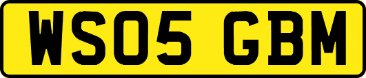 WS05GBM