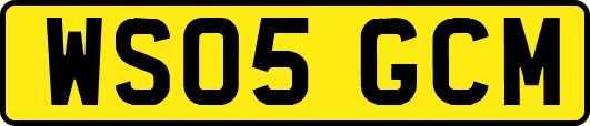WS05GCM