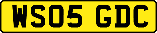 WS05GDC