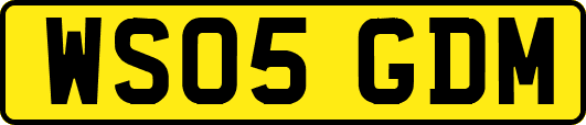WS05GDM
