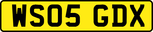 WS05GDX