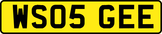 WS05GEE