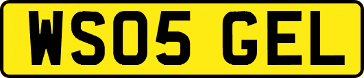 WS05GEL