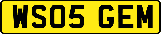 WS05GEM