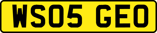 WS05GEO