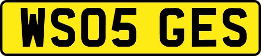 WS05GES