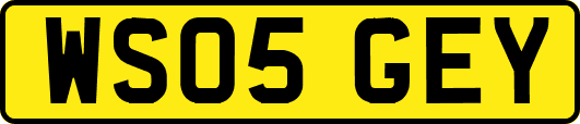 WS05GEY