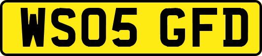 WS05GFD