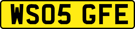 WS05GFE
