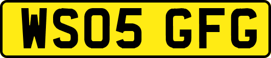 WS05GFG