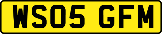 WS05GFM