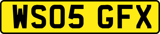 WS05GFX