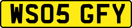 WS05GFY