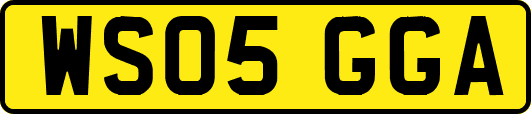 WS05GGA
