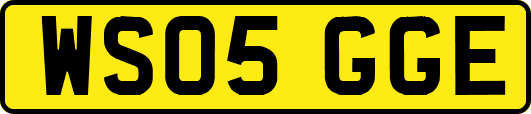 WS05GGE