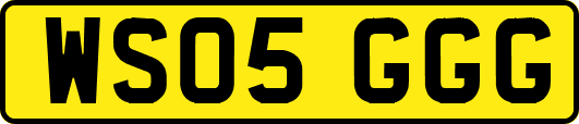WS05GGG