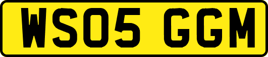 WS05GGM