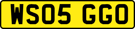 WS05GGO