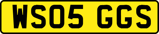 WS05GGS