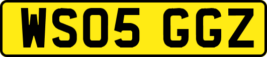 WS05GGZ