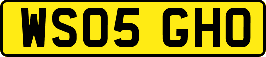 WS05GHO