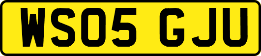 WS05GJU