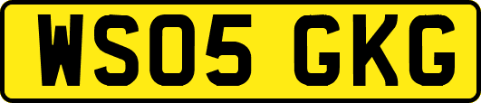 WS05GKG