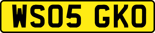 WS05GKO