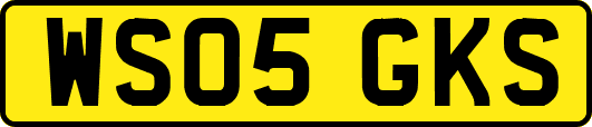 WS05GKS