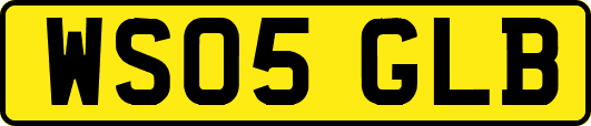 WS05GLB
