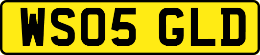 WS05GLD